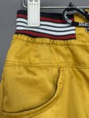 Mustard Jogger Pant J05