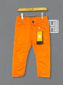 Solid Orange Cotton Pant D18-Designer Series