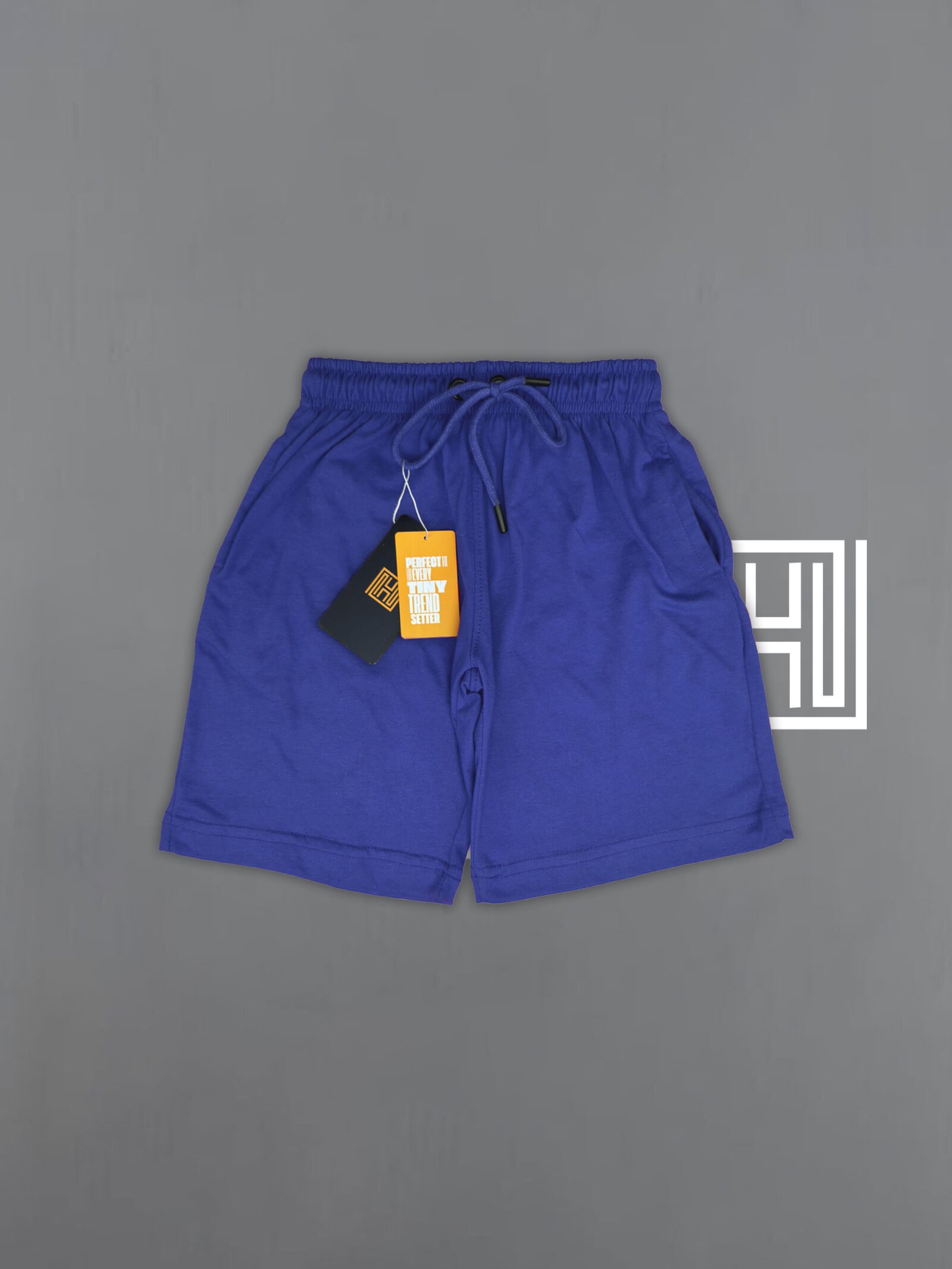 Street Style Premium Shorts (Blue Edition)